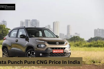 Tata Punch Pure CNG Price In India: Tata की ये कार करने वाली है सबका सिस्टम हैंग, कम कीमत में बड़ा धमाका