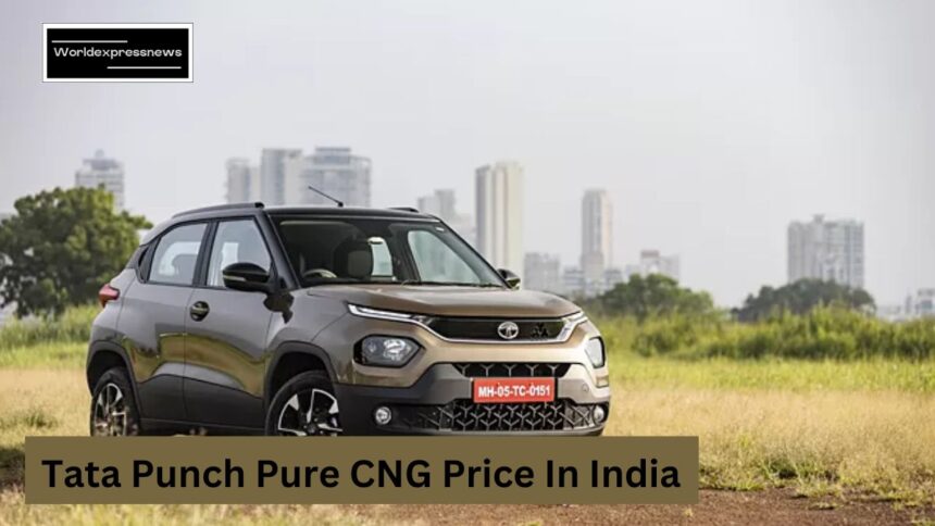 Tata Punch Pure CNG Price In India: Tata की ये कार करने वाली है सबका सिस्टम हैंग, कम कीमत में बड़ा धमाका